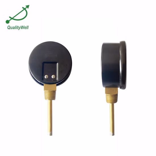 Ms 철강선 막대 SAE 1008 /1006 0.3mm 6.5mm ASTM 14 계기 건물 포장 제조를 위한 뜨거운 담궈진 직류 전기를 통한 철강선